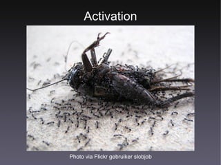 Activation Photo via Flickr gebruiker slobjob 