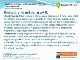 Csecsemő-és kisgyermekkori gyakran előforduló 
megbetegedések 
Előadó: Lupsán Zoltán 
Emésztőrendszeri panaszok II. 
- Sugárhányás: Ritka formája a hányásnak, a csecsemő 3-6 hetes kora körül 
jelentkezik. Oka a gyomorszáj szűkülete. Ilyenkor a hányás sugárban jön 
vissza, nagy erővel. A súlygyarapodás megáll. Sebészi beavatkozást igényel. 
- Szelek: Inkább a túlszopásnak, túletetésnek köszönhető, mint az anya 
helytelen táplálkozásának. A gyógyszertárakban az erre a problémára 
megfelelő cseppek szabadon beszerezhetőek . 
- Hasmenés: Addig, míg nem ammóniaszagú a széklet, bűzös, nyákos, és 
nem extrém számú nem kell meg ijedni! Ha kórosnak látjuk a székletet, 
vigyünk magunkkal széklet mintát az orvosi vizsgálatra! 
- Szorulás: Gyakori, hogy az anyatejes csecsemők nem kakilnak napokig. Ez 
normális. Ha napokig nincs széklet és már hasi panaszok is vannak 
forduljunk orvoshoz. 
„Családi életvezetés a mindennapokban” 
SARKAD-DAOP-5.1.1-09-2f-2010-0002-16 
Életvezetési, mentálhigiénés tanácsadó Program sorozat 
 