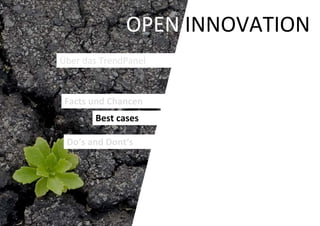 OPEN INNOVATION
Über das TrendPanel



 Facts und Chancen
       Best cases

 Do‘s and Dont‘s
 