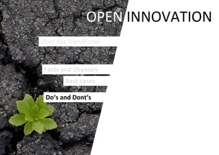 OPEN INNOVATION
Über das TrendPanel



 Facts und Chancen
       Best cases

 Do‘s and Dont‘s
 