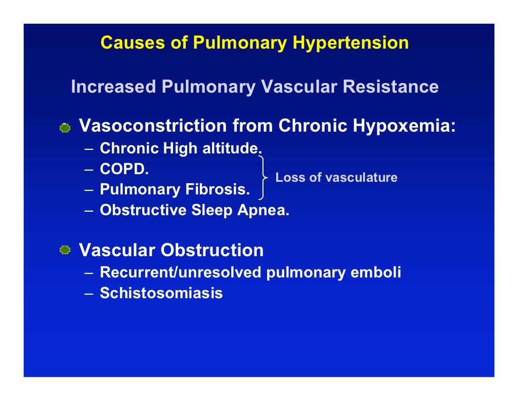 09.16.08 Pulmonary Vascular Disease