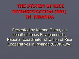 THE SYSTEM OF RICE INTENSIFICATION (SRI)  IN  RWANDA Presented by Katono Ouma, on behalf of Jonas Bavugamenshi, National Coordinator of Union of Rice Cooperatives in Rwanda  (UCORIRWA) 