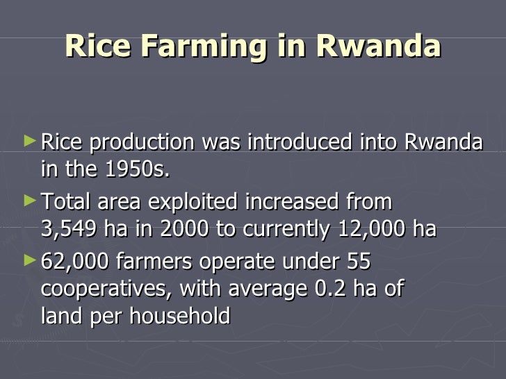 0917 The System of Rice Intensification (SRI) in Rwanda