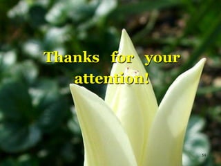 59
Thanks for your
attention!
	
 
 