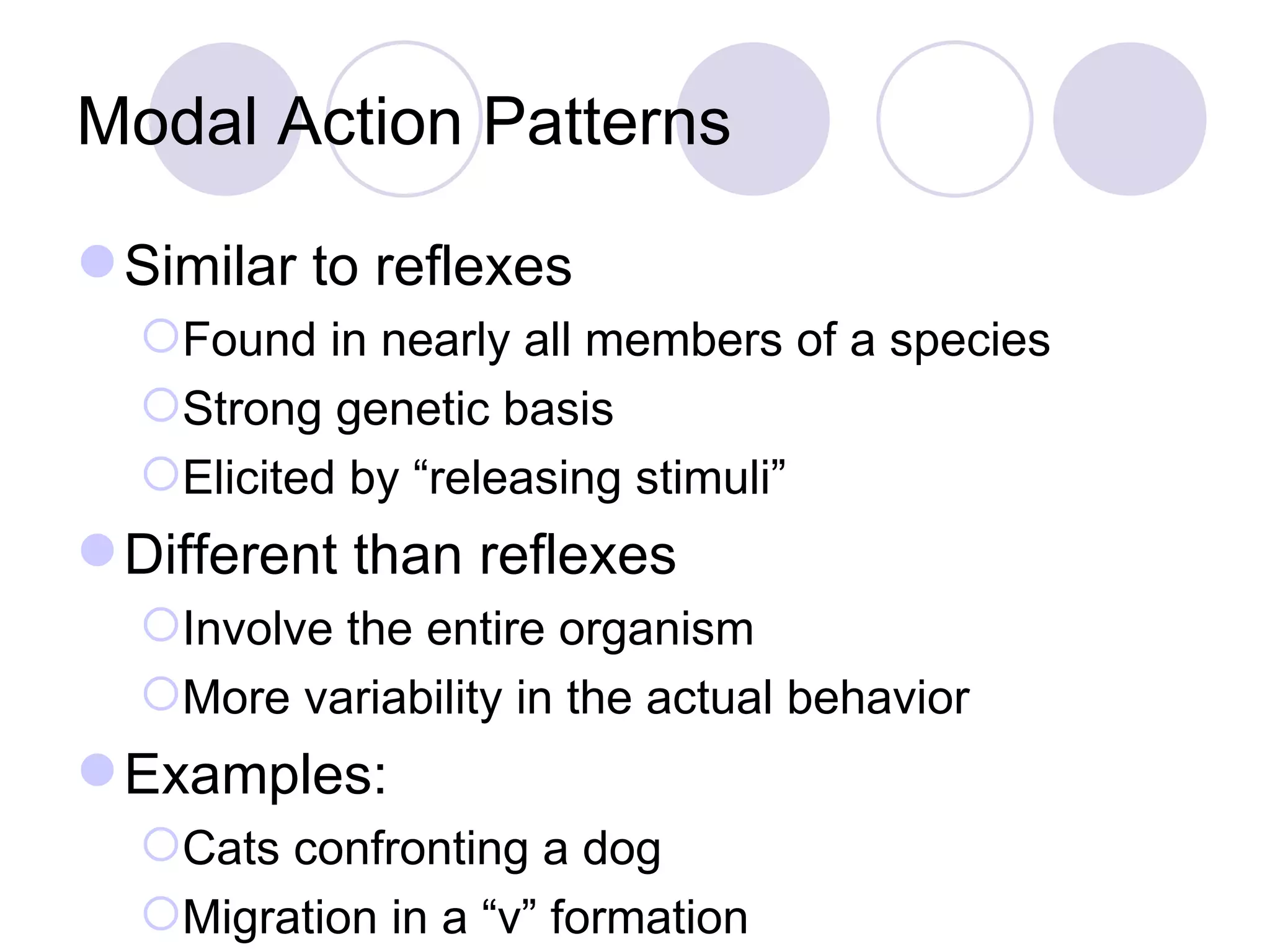 Modal Action Patterns Similar to reflexes Found in nearly all members of a species Strong genetic basis Elicited by “releasing stimuli” Different than reflexes Involve the entire organism More variability in the actual behavior Examples: Cats confronting a dog Migration in a “v” formation  