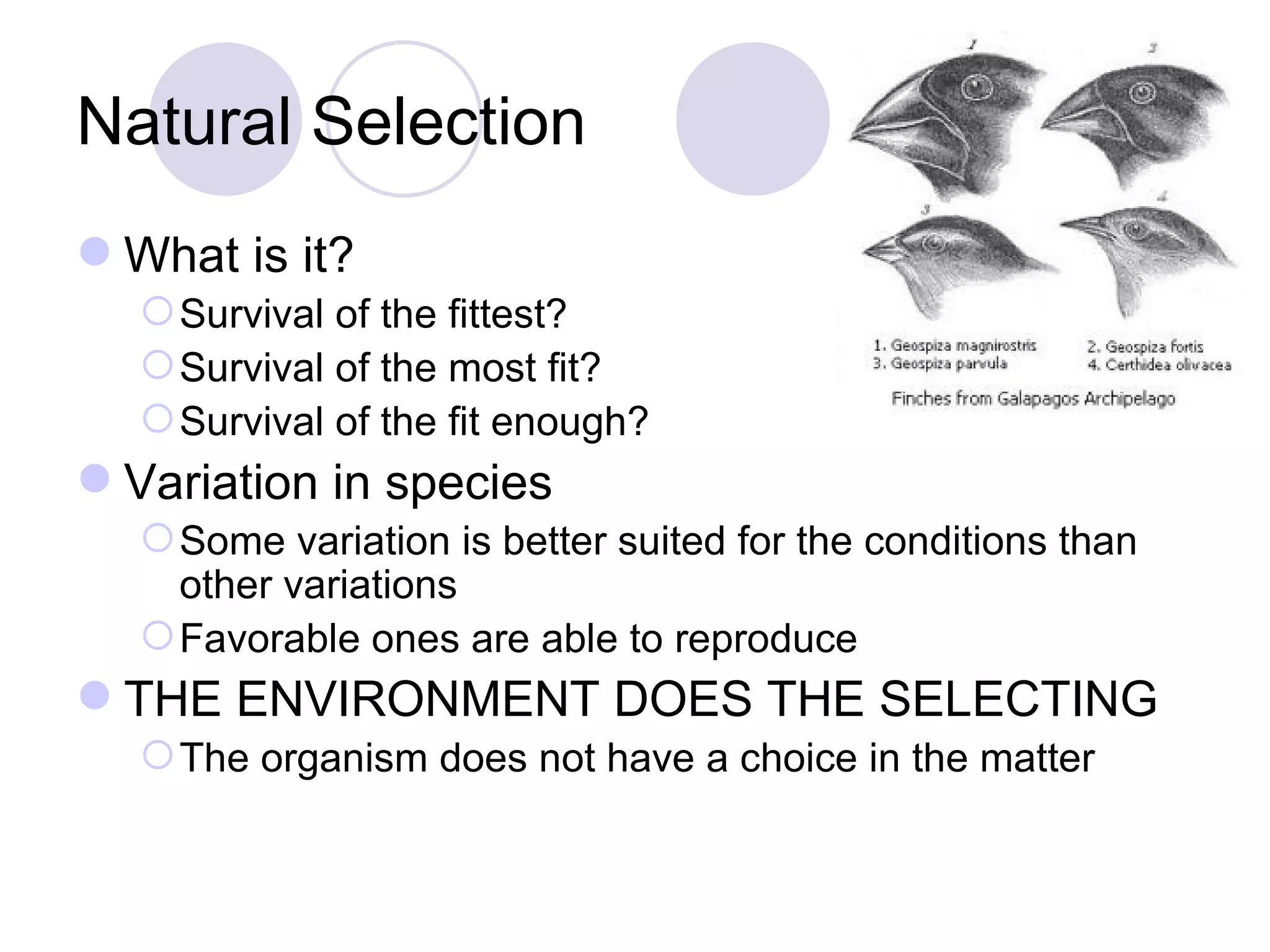 Natural Selection What is it? Survival of the fittest? Survival of the most fit? Survival of the fit enough? Variation in species Some variation is better suited for the conditions than other variations Favorable ones are able to reproduce THE ENVIRONMENT DOES THE SELECTING The organism does not have a choice in the matter 