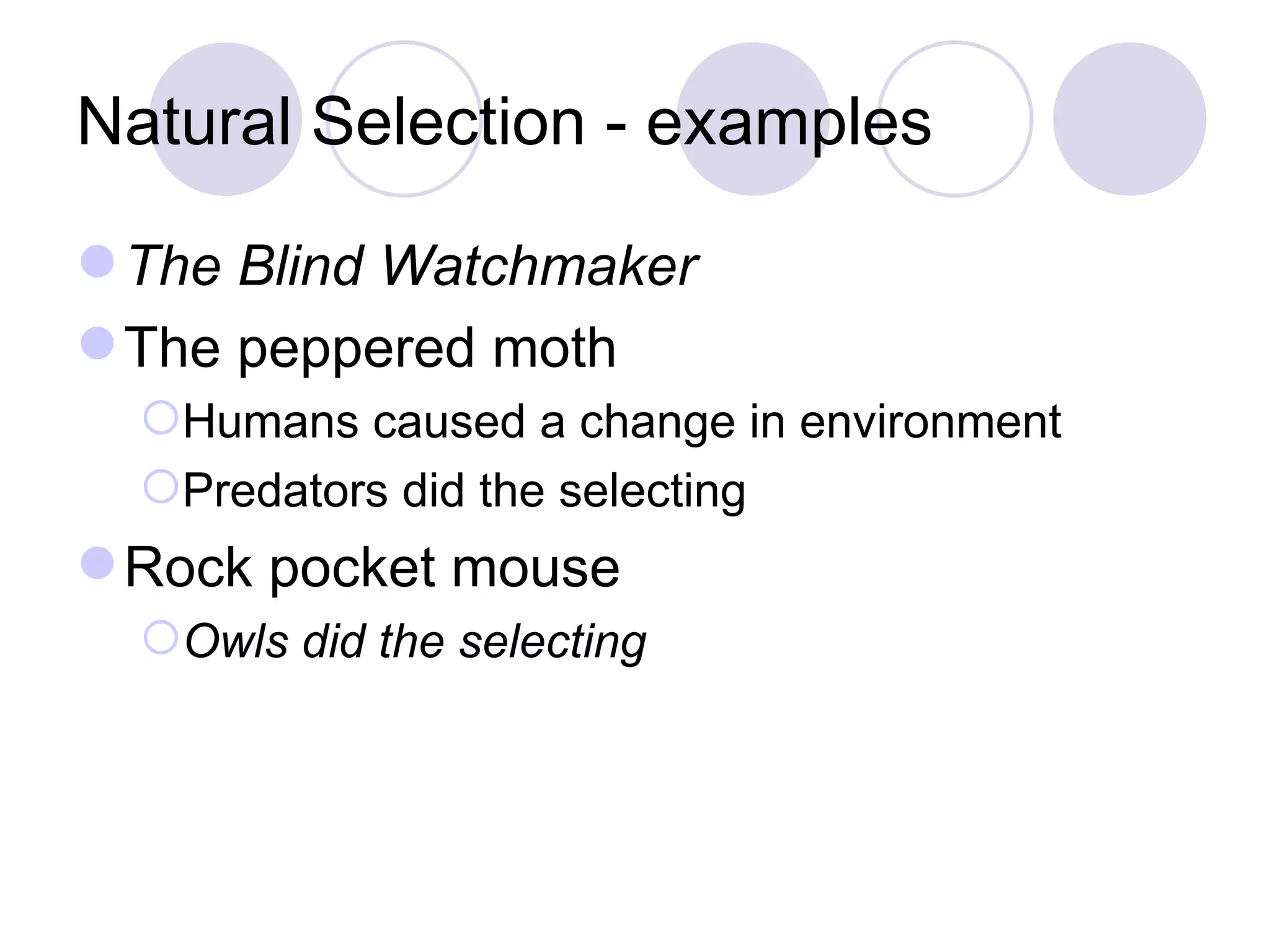 Natural Selection - examples The Blind Watchmaker The peppered moth Humans caused a change in environment Predators did the selecting Rock pocket mouse Owls did the selecting 