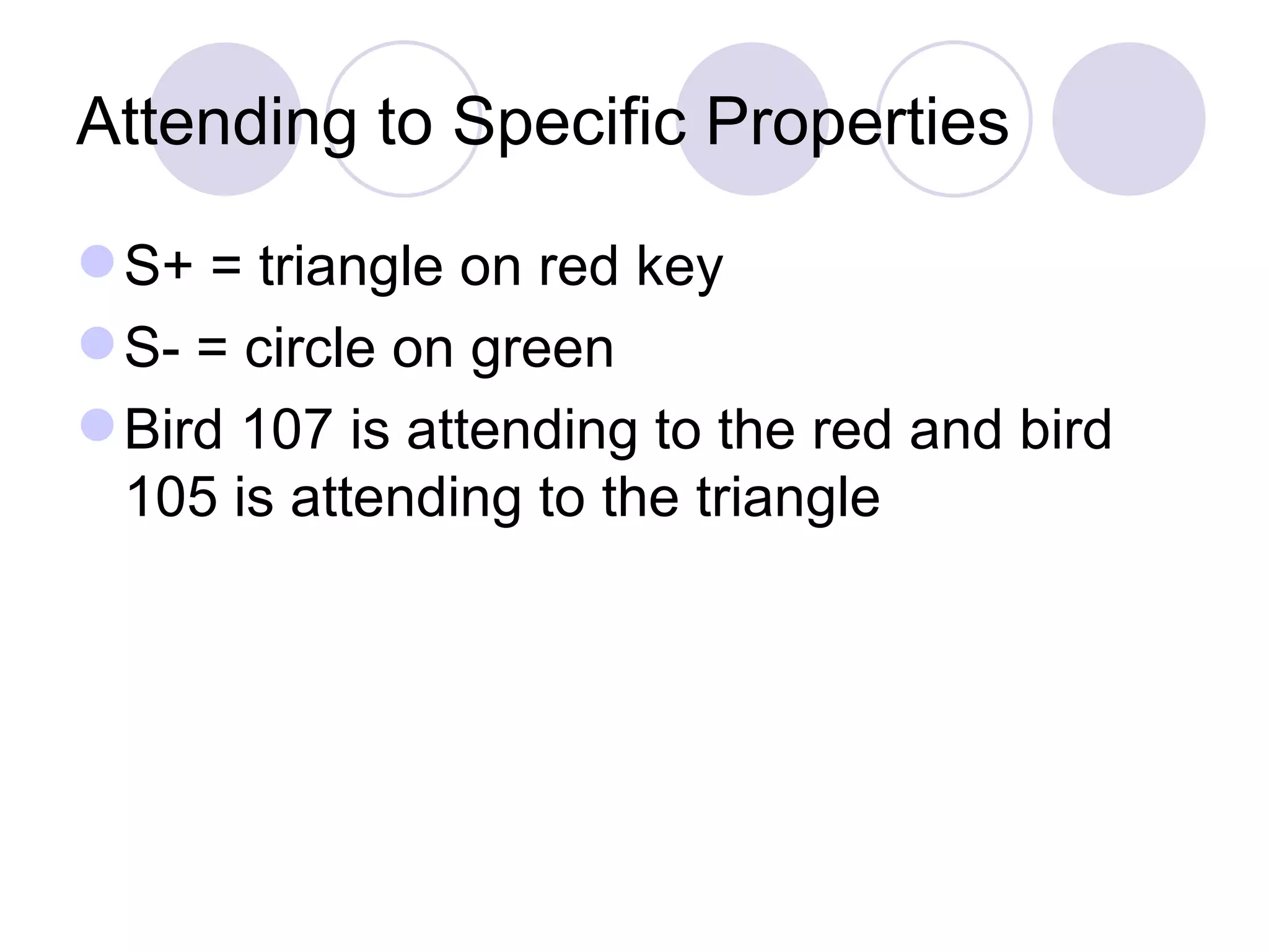 Attending to Specific Properties S+ = triangle on red key S- = circle on green Bird 107 is attending to the red and bird 105 is attending to the triangle 