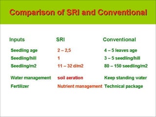 0927 System of Rice Intensification (SRI) in Vietnam | PPT