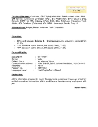 rational application developer resume