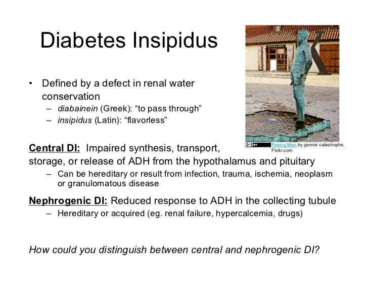 Ciriciri Diabetes Insipidus Jenis Gejala Penyebab Ciriciri Diabetes Insipidus Jenis Gejala Penyebab