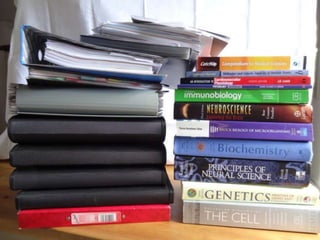 BSc (Hons) Physiology
 