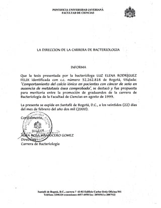 Honorable Mention PDF