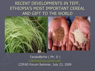 RECENT DEVELOPMENTS IN TEFF, ETHIOPIA’S MOST IMPORTANT CEREAL AND GIFT TO THE WORLD  TarekeBerhe ( Ph. D ) t.berhe@vip.cgnet.com CIIFAD Forum Seminar, July 23, 2009 