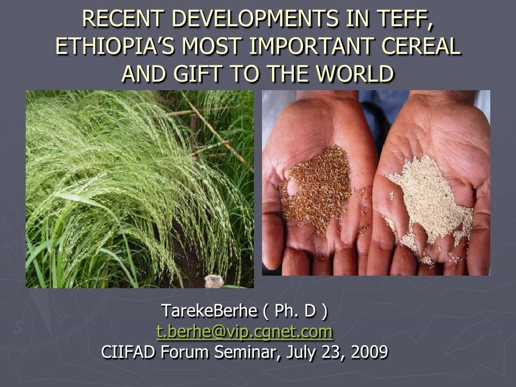 0940 Recent Developments in Teff, Ethiopia's Most Important Cereal an…