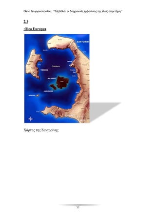 Ελένη Γεωργακοπούλου: ΄΄Ταξιδέλιά: οι διαχρονικές εμφανίσεις της ελιάς στην τέχνη΄΄
51
2.1
Olea Europea
Χάρτης της Σαντορίνης
 