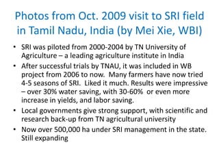 Photos from Oct. 2009 visit to SRI field in Tamil Nadu, India (by Mei Xie, WBI) SRI was piloted from 2000-2004 by TN University of Agriculture – a leading agriculture institute in India After successful trials by TNAU, it was included in WB project from 2006 to now.  Many farmers have now tried 4-5 seasons of SRI.  Liked it much. Results were impressive – over 30% water saving, with 30-60%  or even more increase in yields, and labor saving. Local governments give strong support, with scientific and research back-up from TN agricultural university Now over 500,000 ha under SRI management in the state.  Still expanding 