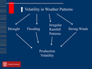 Volatility in Weather Patterns


                         Irregular
Drought    Flooding      Rainfall    Strong Winds
                         Patterns



                   Production
                    Volatility
 
