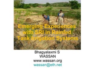 Emerging Experiences  with SRI in Rainfed  Tank Irrigation Systems Bhagyalaxmi S  WASSAN www.wassan.org [email_address] 