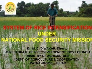 SYSTEM OF RICE INTENSIFICATION  UNDER  NATIONAL FOOD SECURITY MISSION   Dr. M. C. DIWAKAR. Director  DIRECTORATE OF RICE DEVELOPMENT, GOVT.OF INDIA MINISTRY OF AGRICULTURE (DEPT. OF AGRICULTURE & COOPERATION)  PATNA -800013 -- BIHAR 