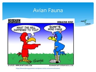 Avian Fauna
https://thewindenergysolution.wordpress.com/4-concessionrefutation/
 