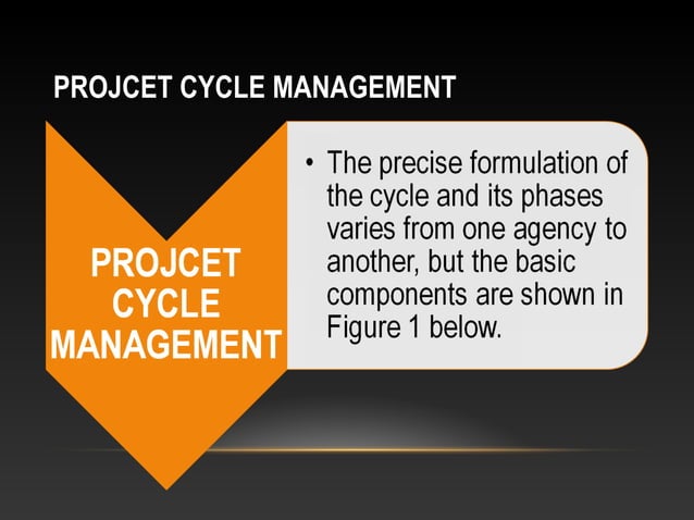 095 Project Cycle Management | PPT