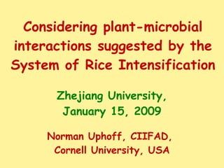 Considering plant-microbial interactions suggested by the System of Rice Intensification  Zhejiang University, January 15, 2009 Norman Uphoff, CIIFAD,  Cornell University, USA 