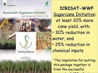 <ul><li>ICRISAT-WWF   Sugarcane Initiative : at least 20% more cane yield, with:  </li></ul><ul><li>30% reduction in water...