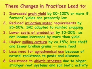 These Changes in Practices Lead to:
1. Increased grain yield by 50-100% or more if
farmers’ yields are presently low
2. Re...