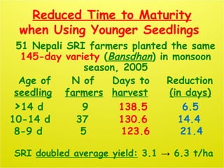 Reduced Time to Maturity
when Using Younger Seedlings
51 Nepali SRI farmers planted the same
145-day variety (Bansdhan) in...