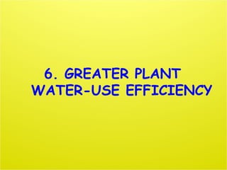 6. GREATER PLANT
WATER-USE EFFICIENCY
 