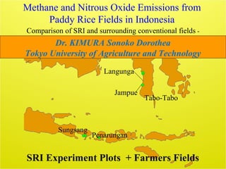 Methane and Nitrous Oxide Emissions from
Paddy Rice Fields in Indonesia
Comparison of SRI and surrounding conventional fie...