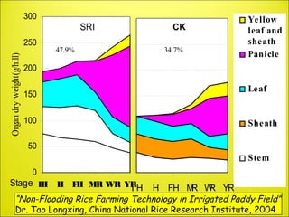 0955 Opportunities for Improving Asian Agriculture Agroecology: Observations from the System of Rice Intensificatiion