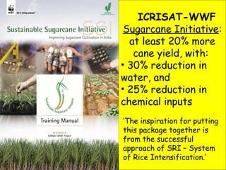 0957 The System of Rice Intensification (SRI):  A Win-Win Opportunity for Indonesian Rice Production