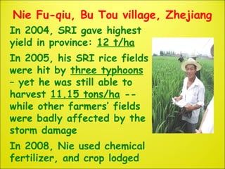 Nie Fu-qiu, Bu Tou village, Zhejiang
In 2004, SRI gave highest
yield in province: 12 t/ha
In 2005, his SRI rice fields
wer...