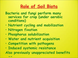 Role of Soil Biota
Bacteria and fungi perform many
services for crop (under aerobic
conditions)
• Nutrient cycling and mob...