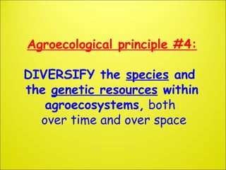 Agroecological principle #4:
DIVERSIFY the species and
the genetic resources within
agroecosystems, both
over time and ove...