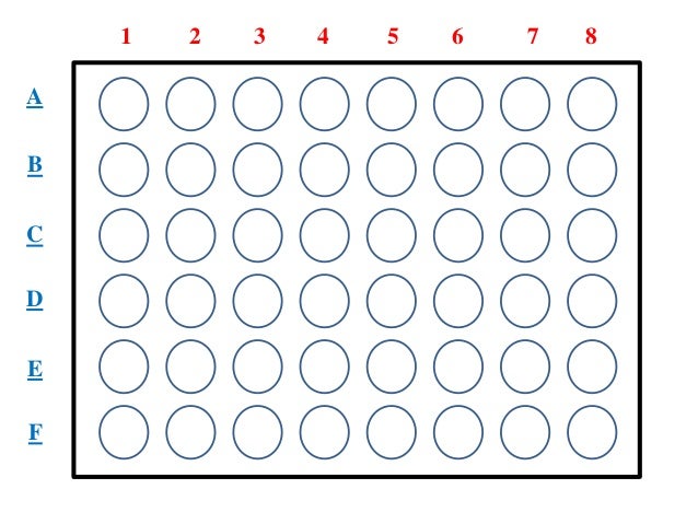 Lab notebook template