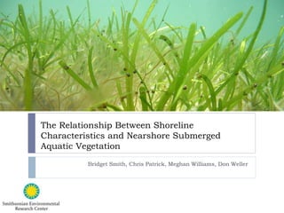 The Relationship Between Shoreline
Characteristics and Nearshore Submerged
Aquatic Vegetation
Bridget Smith, Chris Patrick, Meghan Williams, Don Weller
 