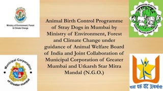 Animal Birth Control Programme
of Stray Dogs in Mumbai by
Ministry of Environment, Forest
and Climate Change under
guidance of Animal Welfare Board
of India and Joint Collaboration of
Municipal Corporation of Greater
Mumbai and Utkarsh Star Mitra
Mandal (N.G.O.)
 