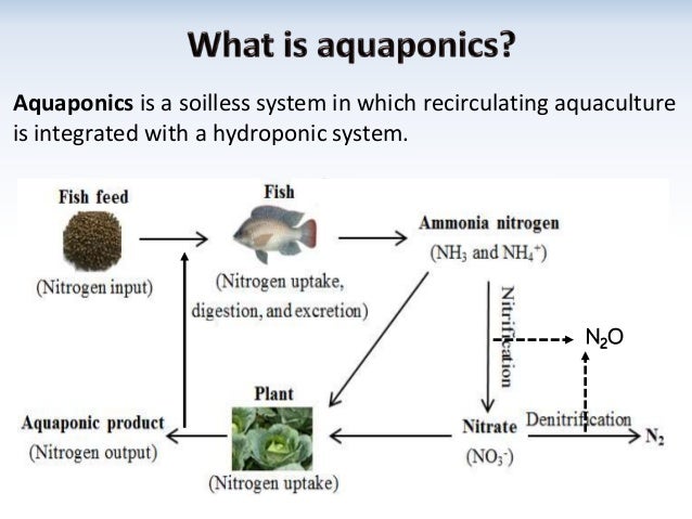 general principles of aquaponics - friendly aquaponics
