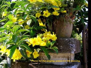 Praise for the singing, praise for the morning

 