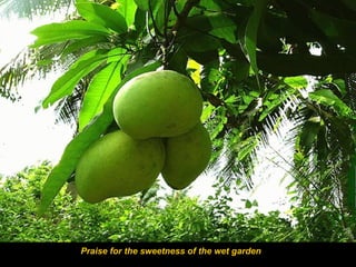 Praise for the sweetness of the wet garden

 