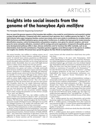 ARTICLES
Insights into social insects from the
genome of the honeybee Apis mellifera
The Honeybee Genome Sequencing Consortium*
Here we report the genome sequence of the honeybee Apis mellifera, a key model for social behaviour and essential to global
ecology through pollination. Compared with other sequenced insect genomes, the A. mellifera genome has high A1T and
CpG contents, lacks major transposon families, evolves more slowly, and is more similar to vertebrates for circadian rhythm,
RNA interference and DNA methylation genes, among others. Furthermore, A. mellifera has fewer genes for innate immunity,
detoxification enzymes, cuticle-forming proteins and gustatory receptors, more genes for odorant receptors, and novel
genes for nectar and pollen utilization, consistent with its ecology and social organization. Compared to Drosophila, genes in
early developmental pathways differ in Apis, whereas similarities exist for functions that differ markedly, such as sex
determination, brain function and behaviour. Population genetics suggests a novel African origin for the species A. mellifera
and insights into whether Africanized bees spread throughout the New World via hybridization or displacement.
The western honeybee, Apis mellifera, is a striking creature, one of
relatively few species for which evolution culminated in advanced
society1
. In ‘eusocial’ insect colonies, populations are differentiated
into queens that produce offspring and non-reproductive altruistic
workers that gather and process food, care for young, build nests and
defend colonies. Remarkably, these two castes, both highly derived
relative to solitary insects, develop from the same genome.
Social evolution endowed honeybees with impressive traits2,3
.
Differentiation into queens and workers is through nutritionally
based, hormone-mediated, programmes of gene expression4
yielding
dramatic distinctions in morphology, physiology and behaviour.
Queens, typically one per colony, have ten times the lifespan of work-
ers, typically 1 to 2 yr5
, lay up to 2,000 eggs per day, and store sperm
for years without losing viability. Workers, numbering tens of thou-
sands per colony, display sophisticated cognitive abilities, despite a
brain containing only one million neurons6
. This is five orders of
magnitude less than the human brain and only four times greater
than Drosophila, which has a far simpler behavioural repertoire.
Workers learn to associate a flower’s colour, shape, scent, or location
with a food reward7
, increasing foraging efficiency. They commun-
icate new food discoveries with ‘dance language’, originally deci-
phered by von Frisch8
, the only non-primate symbolic language.
Recent studies revealed that honeybees can learn abstract concepts
such as ‘same’ and ‘different’9
.
The infamous African ‘killer’ bees, Apis mellifera scutellata, the
queens of which were introduced to Brazil in 195610
, are known for
intense stinging activity during nest defence, and pose human health
problems. The African bees’ spread throughout the New World is a
spectacular example of biological invasion. Although it was one of the
first biological invasions to be studied with molecular tools11
, our
understanding of its genetic basis has been controversial.
This array of fascinating features, as well as amenability to molecu-
lar, genetic, neural, ecological and social manipulation12
, led to selec-
tion of the honeybee for genome sequencing by the National Human
Genome Research Institute, National Institutes of Health (NHGRI,
NIH)13
. The United States Department of Agriculture (USDA) also
supported the project because of the paramount importance of
pollination to human nutrition and the environment14
. And, of
course, humans and other animals have valued honey since prehis-
toric times.
Honeybees belong to the insect order Hymenoptera, which
includes 100,000 species of sawflies, wasps, ants and bees. Hymenop-
tera exhibit haplodiploid sex determination, where males arise from
unfertilized haploid eggs and females arise from fertilized diploid
eggs. Haplodiploid-induced asymmetries in relatedness between off-
spring and sisters have long been thought to be involved in the
evolution or maintenance of eusociality in the Hymenoptera15,16
,
but other life history traits also promote social evolution17
, and there
are divergent perspectives on this issue at the present time1,18
.
Haplodiploidy has distinct sex-determination mechanisms com-
pared with other organisms because Hymenoptera lack sex
chromosomes19
.
Hymenoptera is one of 11 orders of holometabolous (undergo a
metamorphic moult) insects. All completed insect genome sequences
have thus far been confined to Holometabola20–26
; phylogenetic rela-
tionships of these and related arthropods are in Fig. 1. Honeybees
diverged from Diptera and Lepidoptera 300 million years ago,
whereas the last common ancestor with humans was 600 million
years ago27
. The genus Apis is an ancient lineage of bees that evolved
in tropical Eurasia28
and migrated north and west, reaching Europe
by the end of the Pleistocene epoch, 10,000 yr ago. The origin of A.
mellifera has been suggested as Asia28
, the Middle East29
, or Africa2,30
.
From there, humans carried them worldwide because of their ability
to make honey28
.
The A. mellifera genome has novel characteristics and provides
fascinating insights into honeybee biology. Some main findings are:
?The A. mellifera genome is distinguished from other sequenced
insect genomes by high A1T content, greater spatial heterogeneity of
A1T content, high CpG content, and an absence of most major
families of transposons.
?The honeybee genome evolved more slowly than that of the fruitfly
and malaria mosquito.
?The A. mellifera genome shows greater similarities to vertebrate
genomes than Drosophila and Anopheles genomes for genes involved
in circadian rhythms, RNA interference (RNAi) and DNA methyla-
tion, among others.
*Lists of participants and affiliations appear at the end of the paper.
Vol 443|26 October 2006|doi:10.1038/nature05260
931
NaturePublishing Group©2006
 