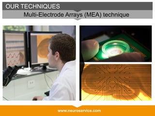 www.neuroservice.comwww.neuroservice.com
OUR TECHNIQUES
Multi-Electrode Arrays (MEA) technique
 