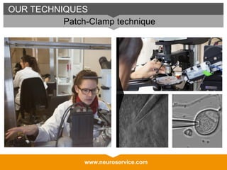 www.neuroservice.comwww.neuroservice.com
OUR TECHNIQUES
Patch-Clamp technique
 