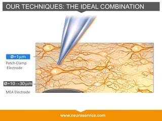 www.neuroservice.com
OUR TECHNIQUES: THE IDEAL COMBINATION
Patch-Clamp
Electrode
MEA Electrode
 