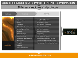 www.neuroservice.com
OUR TECHNIQUES: A COMPREHENSIVE COMBINATION
Different structures and protocols
MATERIAL STRUCTURE PROTOCOL
Input/Output Properties
Paired-Pulse Protocol
Basal Synaptic Transmission
Long-Term Potentiation
Long-Term Depression
Short-Term Potentiation
Firing Activity
Dose-Response Protocol
Spontaneous Postsynaptic Current
Agonist Evoked Postsynaptic Current
Pharmacology of Intracellular Pathways
Hippocampus
Cortex
Cerebellum
Spinal Cord with or without root
Ventral Tegmental Area
Striatum
Substantia Nigra
Locus Coeruleus
Periaqueductal Gray Matter
Dorsal Raphe
Amygdala
Thalamus
Dorsal Vagal Nucleus
i
In vitro
rodent slices
 