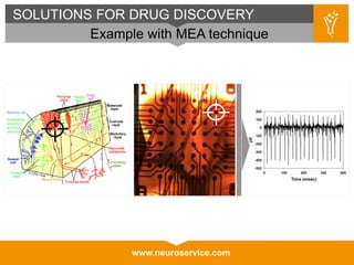 www.neuroservice.com
SOLUTIONS FOR DRUG DISCOVERY
Example with MEA technique
 