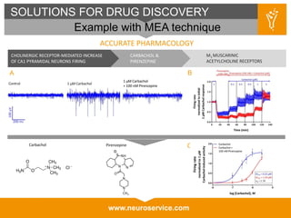www.neuroservice.com
SOLUTIONS FOR DRUG DISCOVERY
Example with MEA technique
ACCURATE PHARMACOLOGY
CHOLINERGIC RECEPTOR-MEDIATED INCREASE
OF CA1 PYRAMIDAL NEURONS FIRING
CARBACHOL &
PIRENZEPINE
M1 MUSCARINIC
ACETYLCHOLINE RECEPTORS
A B
CPirenzepineCarbachol
 